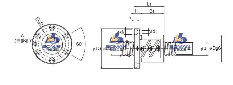 BNF10020A-5